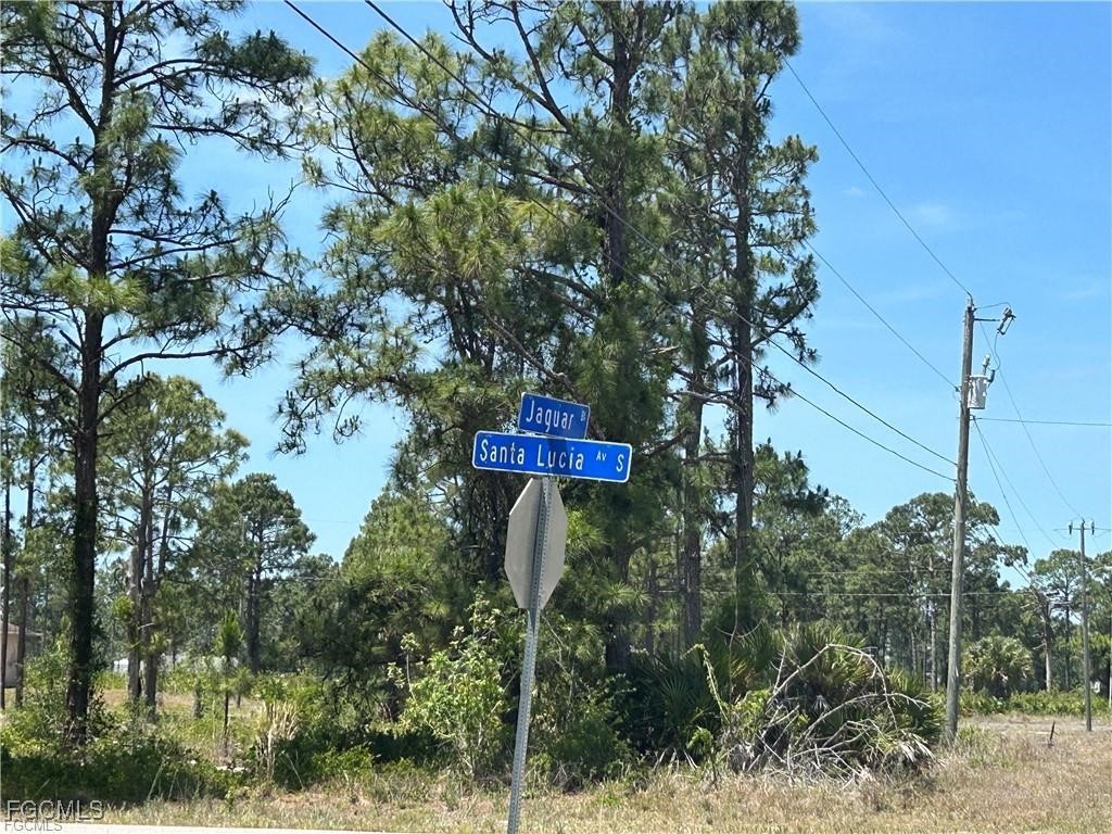 1135 Jaguar Boulevard Lehigh Acres FL 33974 2025017610 image4