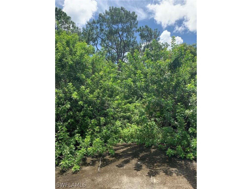 11350 Six Ls Farm Road Naples FL 34114 224061912 image1