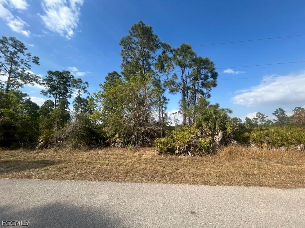 1137 Crestwood Street E Lehigh Acres FL 33974 2026008570 image1