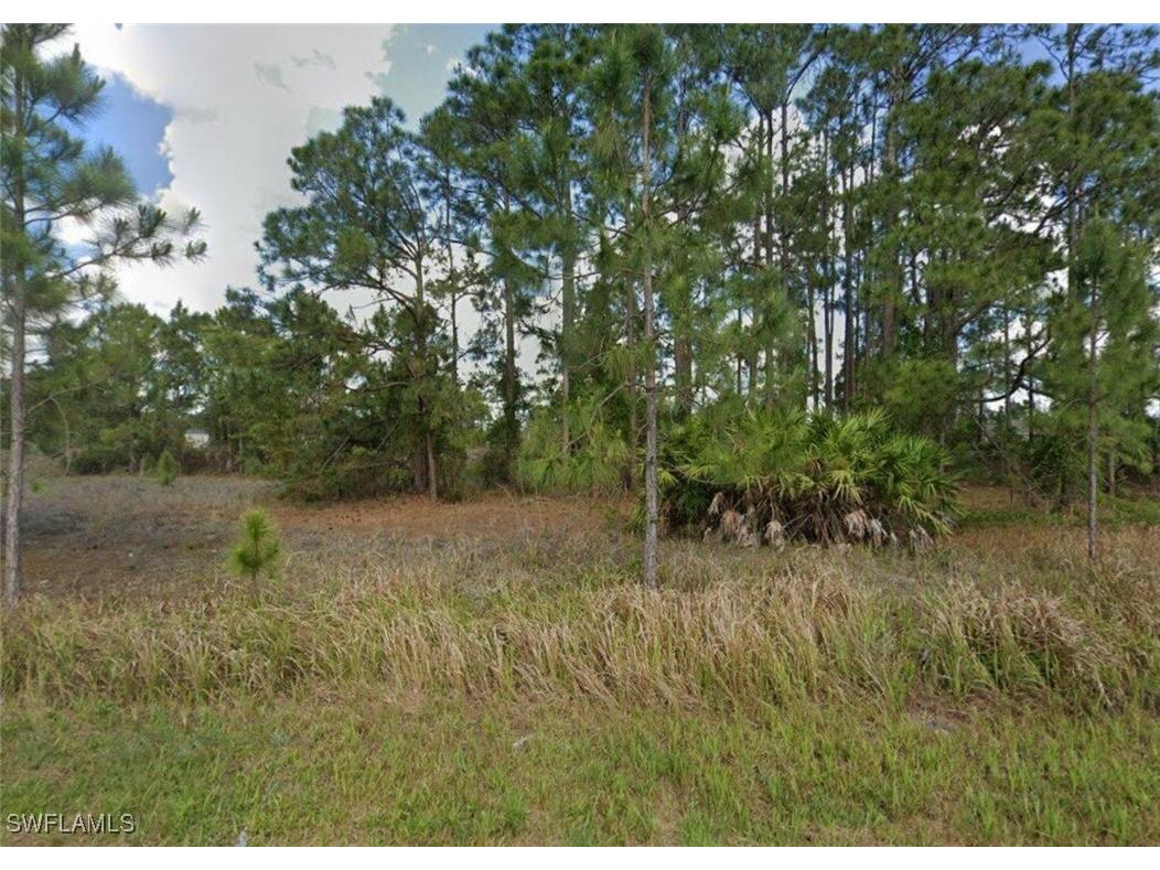 1137 Holmes Avenue S Lehigh Acres FL 33974 225077493 image1