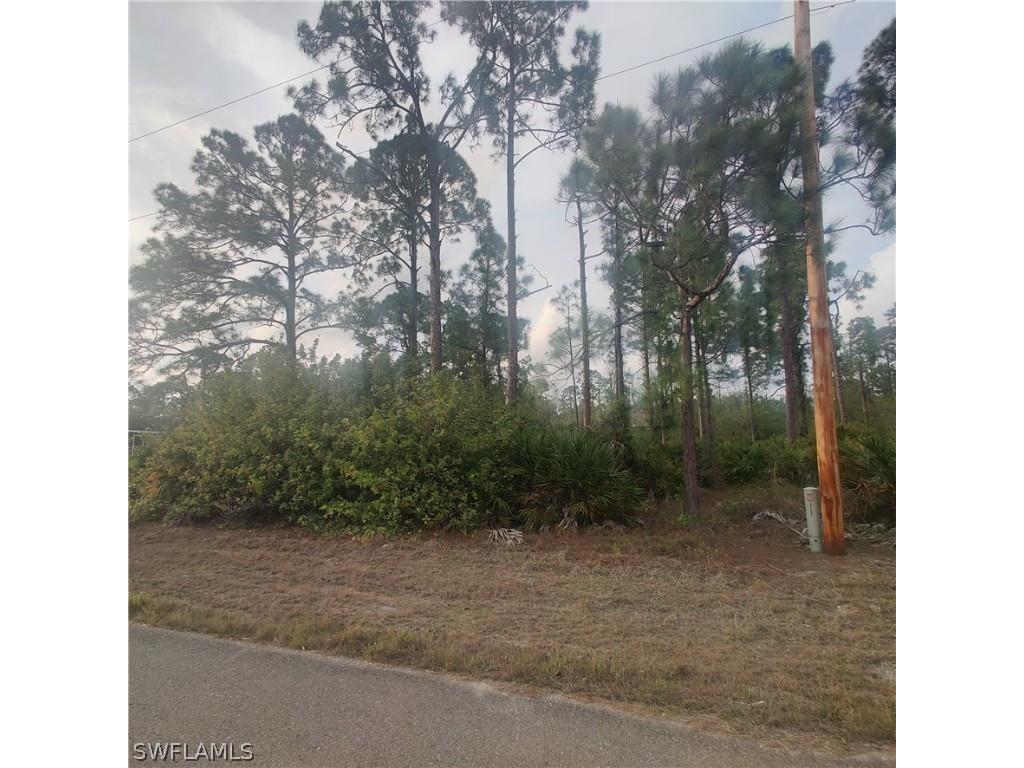 1139 Croquet Street E Lehigh Acres FL 33974 222029289 image1