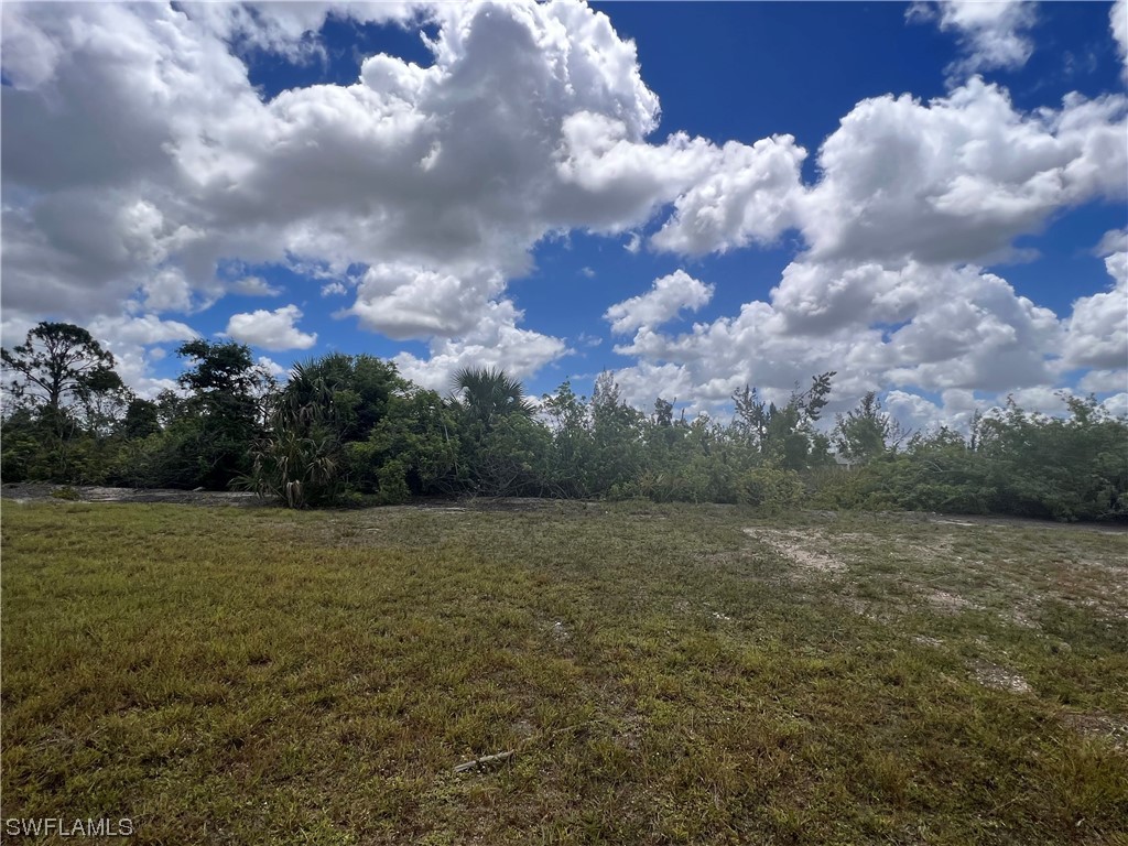 1139 NW 28th Place Cape Coral FL 33993 223042638 image1
