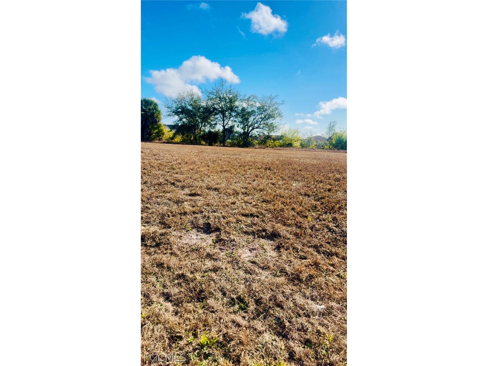 1139 NW 9th Place Cape Coral FL 33993 2026011798 image3