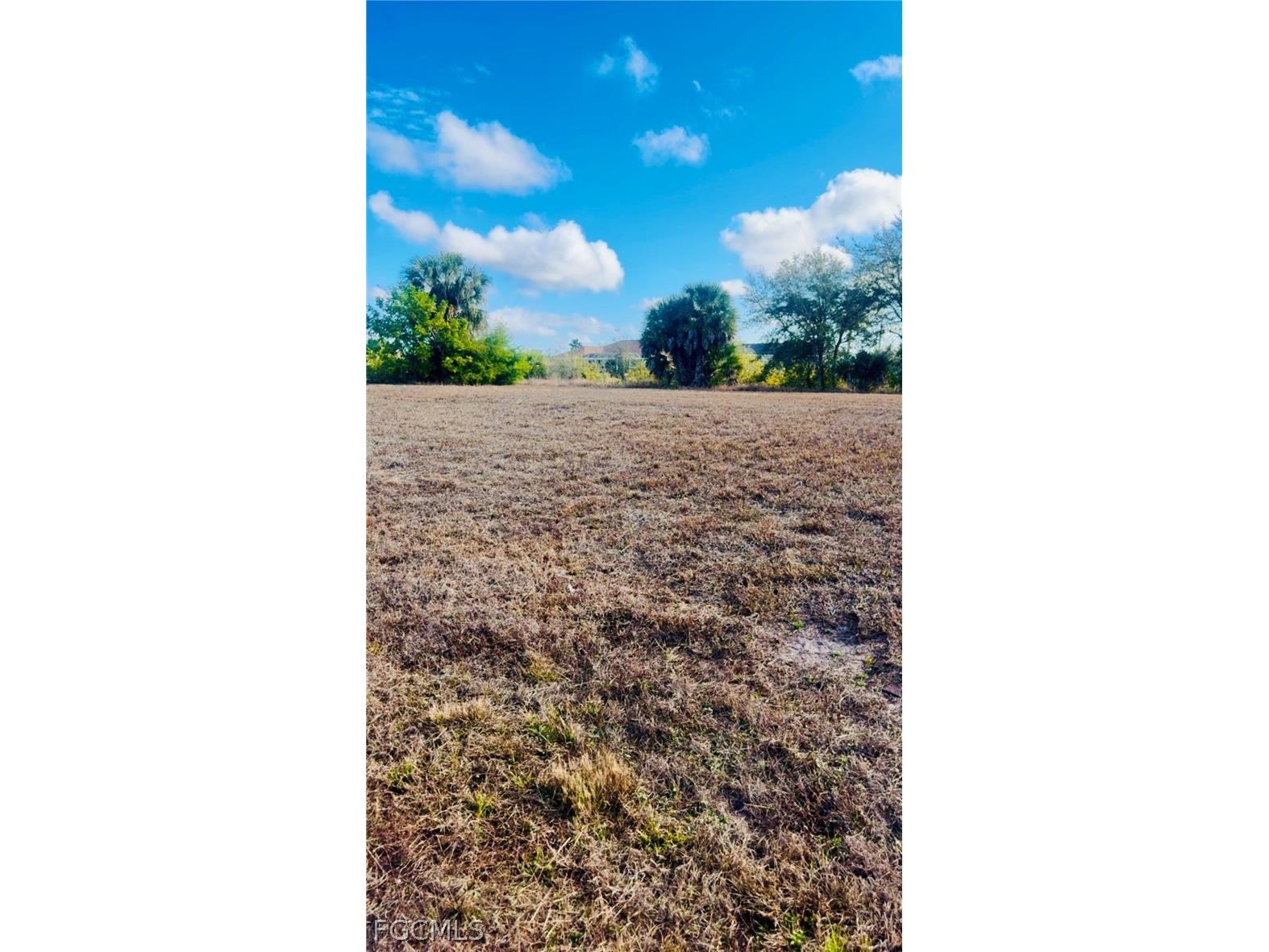 1139 NW 9th Place Cape Coral FL 33993 2026011798 image4