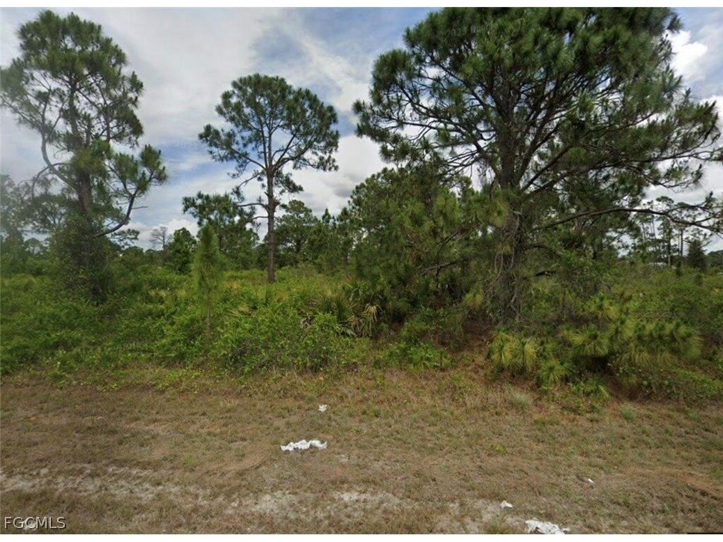 1139 Venetia Street Lehigh Acres FL 33974 2026008860 image1