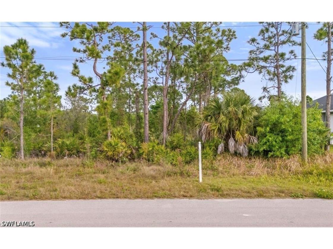 1141 Corry Street E Lehigh Acres FL 33974 226019140 image6