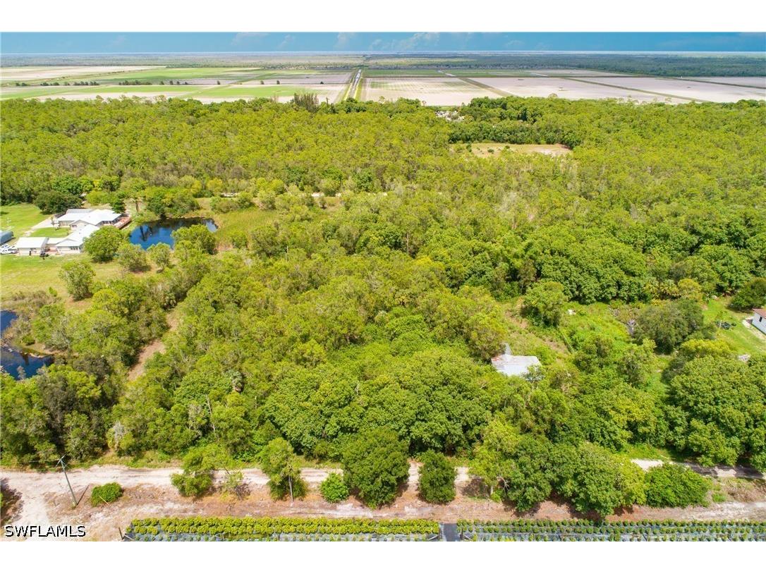 11444 Laertes Lane Naples FL 34114 226025027 image2