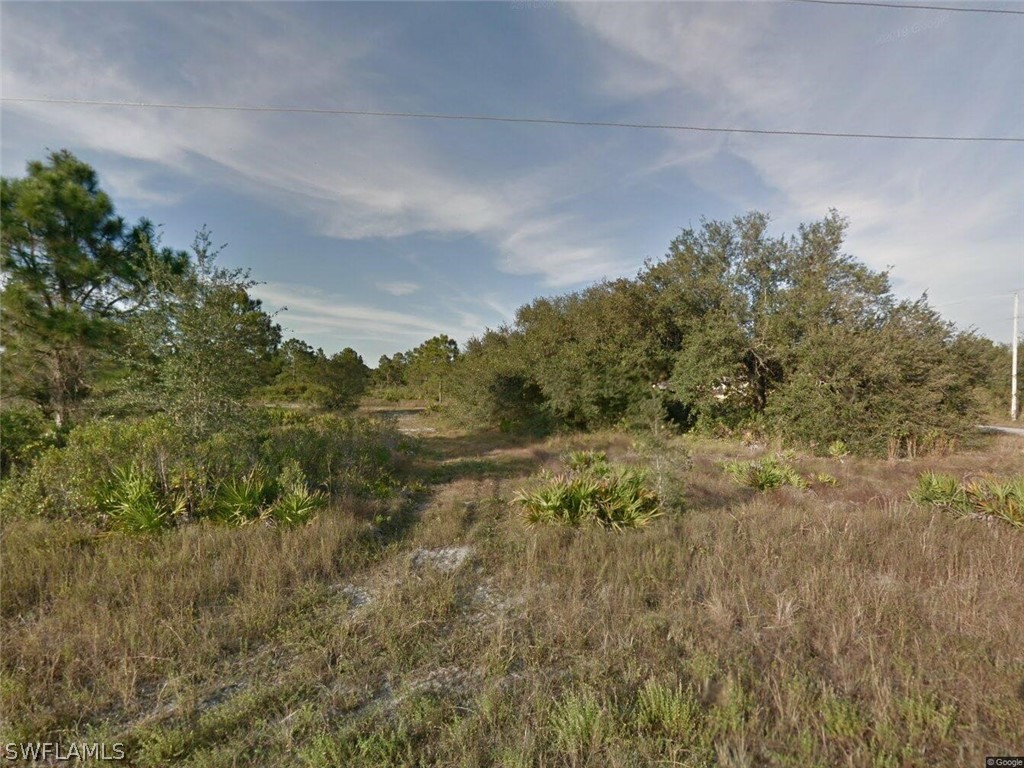 1145 E Randletree Street Lehigh Acres FL 33936 226007127 image1