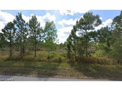 1146 Holmes Avenue S Lehigh Acres FL 33974 223066753 image1