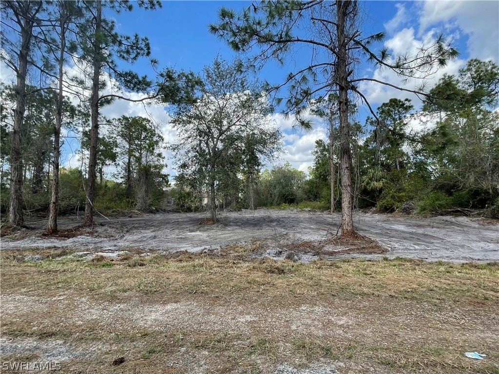 1147 Rosita Street E Lehigh Acres FL 33974 223012344 image1