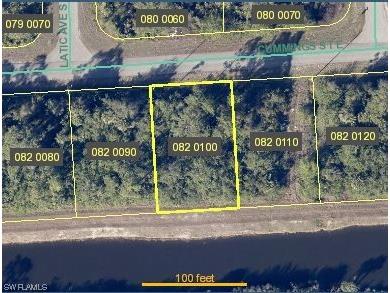 1148 Cumming Street E Lehigh Acres FL 33974 223070502 image1