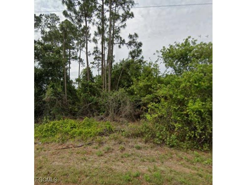 1148 Edelweiss Street E Lehigh Acres FL 33974 2025015101 image1