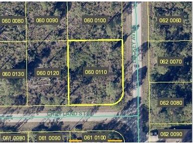 1149 Chiefland Street E Lehigh Acres FL 33974 223040613 image1
