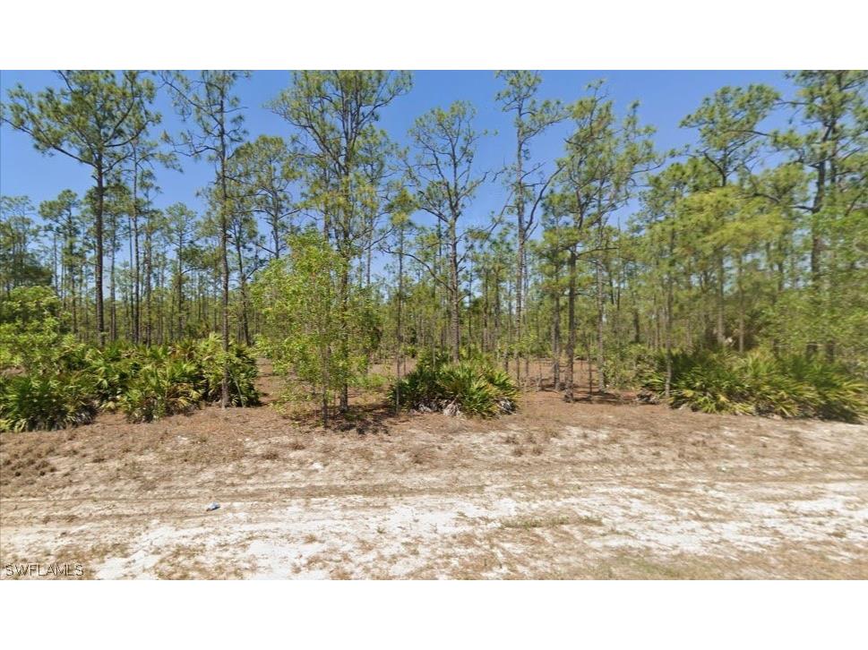 115 Scott Avenue Lehigh Acres FL 33936 224047046 image1