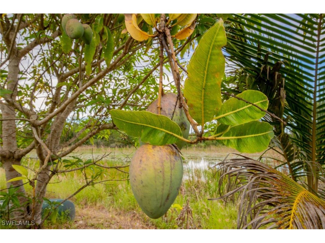 115 W Marimba Circle Clewiston FL 33440 225059581 image31