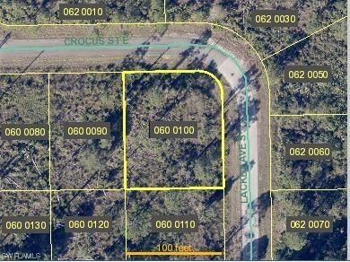 1150 Crocus Street E Lehigh Acres FL 33974 224009414 image1