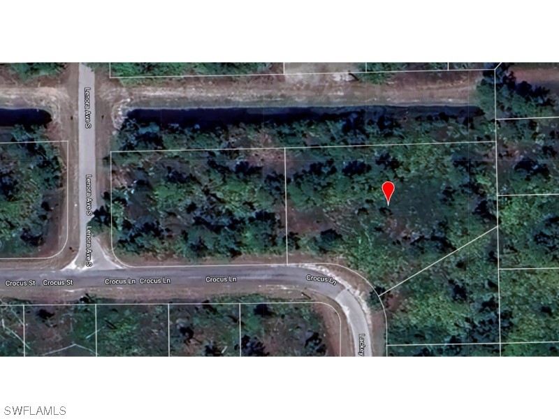 1151 Crocus Street Lehigh Acres FL 33974 224024202 image1