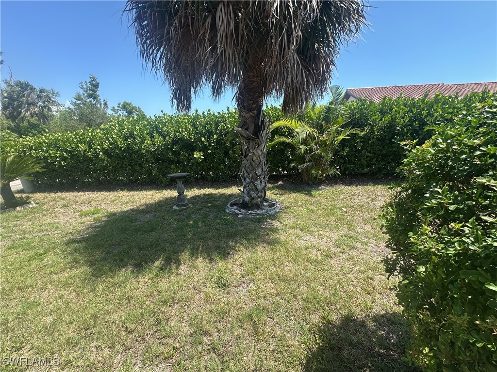 11511 Cinnamon Cove Boulevard Fort Myers FL 33908 225048599 image19