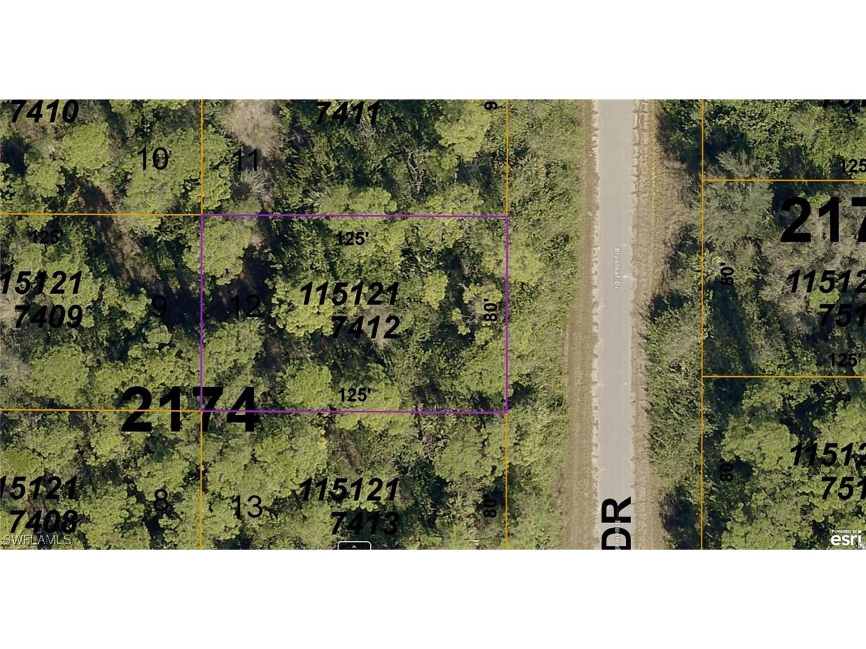 1151217412 Blueleaf Drive North Port FL 34288 223048427 image1