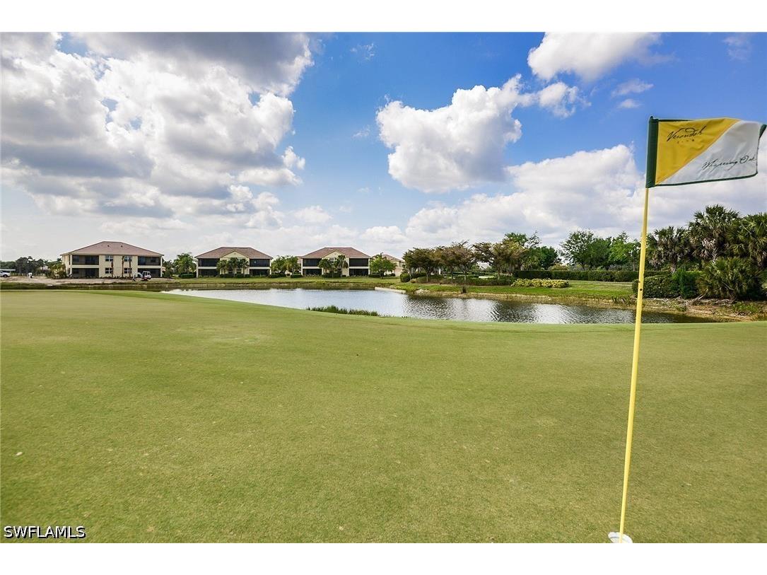 11544 Verandah Palm Court Fort Myers FL 33905 226022372 image34