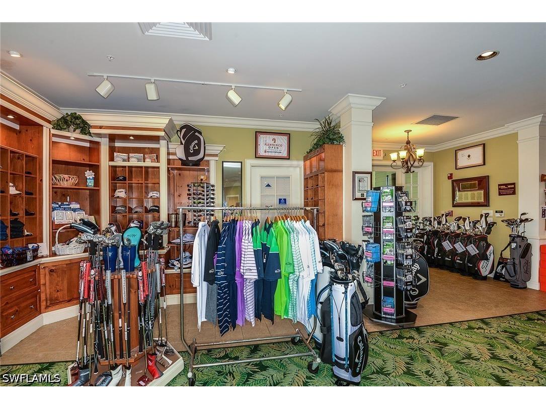 11544 Verandah Palm Court Fort Myers FL 33905 226022372 image41