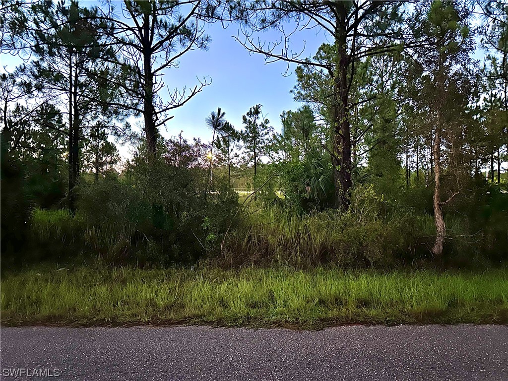 1155 Briarcliffe Street Fort Myers FL 33913 223048568 image1