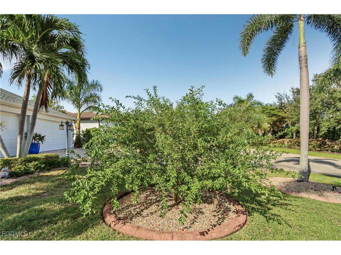 11558 Royal Tee Circle Cape Coral FL 33991 2025012683 image48