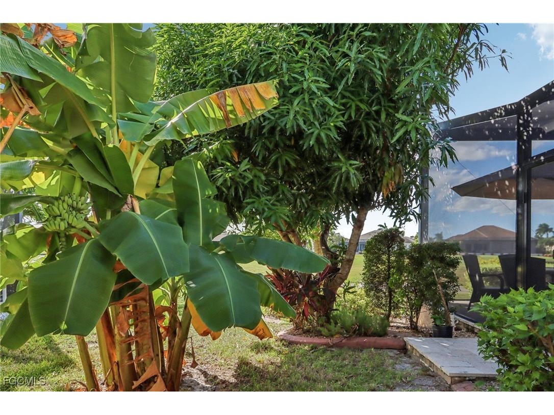 11558 Royal Tee Circle Cape Coral FL 33991 2025012683 image49