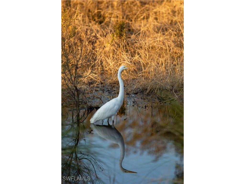 11562 Aerie Lane Naples FL 34120 225076419 image18