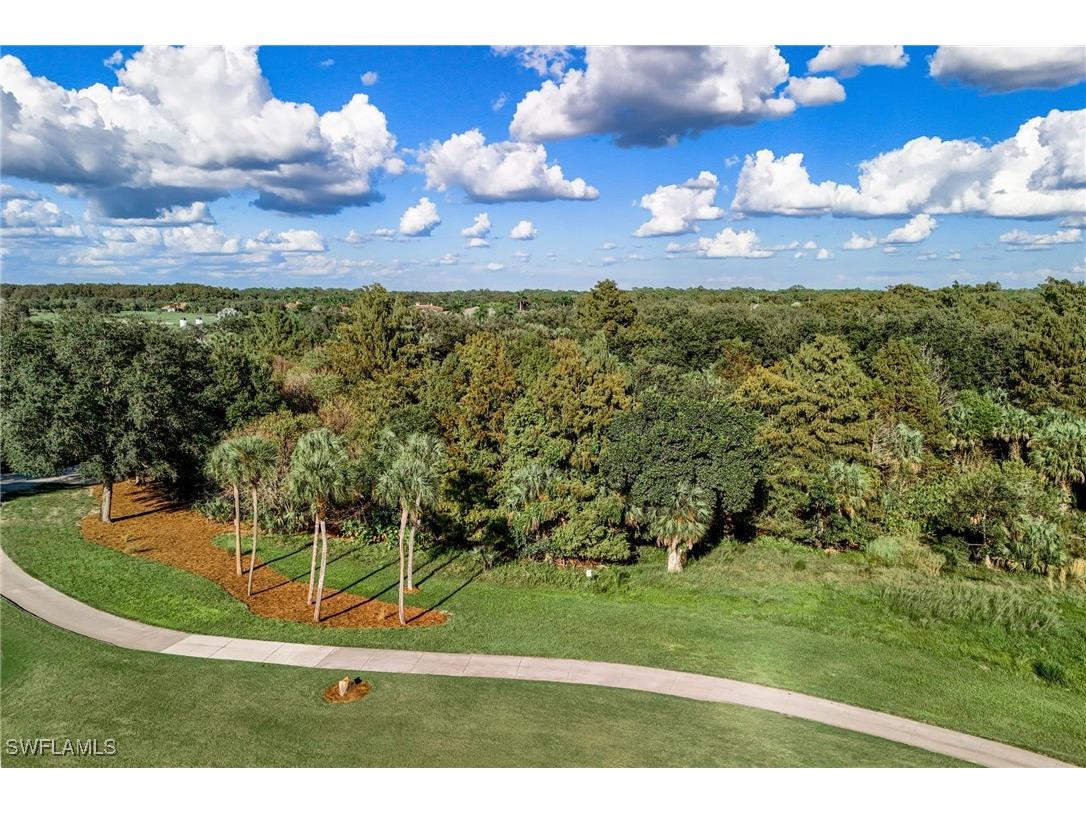 11562 Aerie Lane Naples FL 34120 225076419 image7