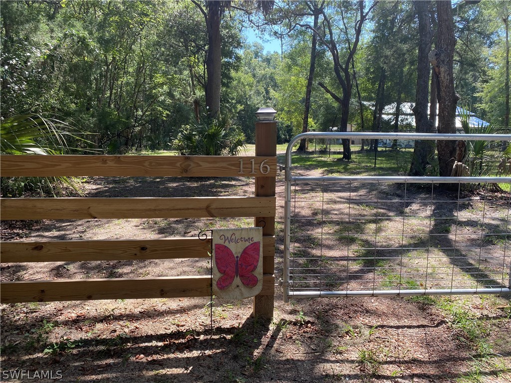 116 SW 814th Street Steinhatchee FL 32359 224033730 image1