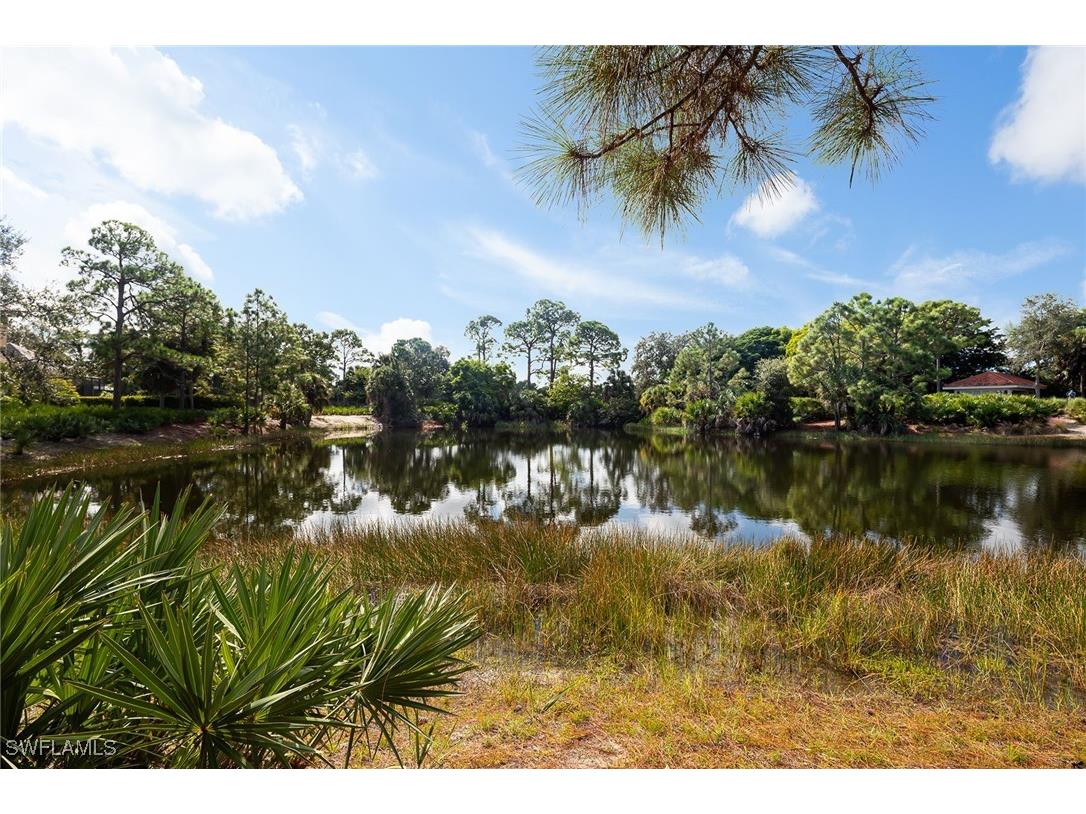 11617 Useppa Court Naples FL 34110 225075640 image31