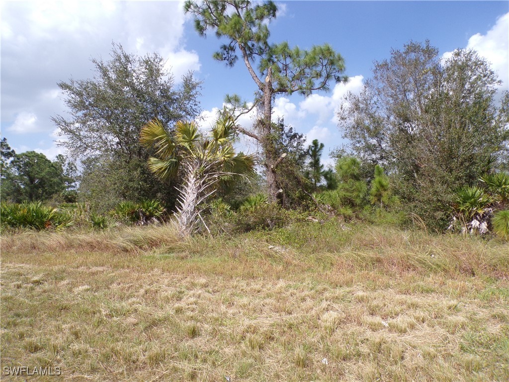 1163 Milwaukee Boulevard Lehigh Acres FL 33974 224087493 image1