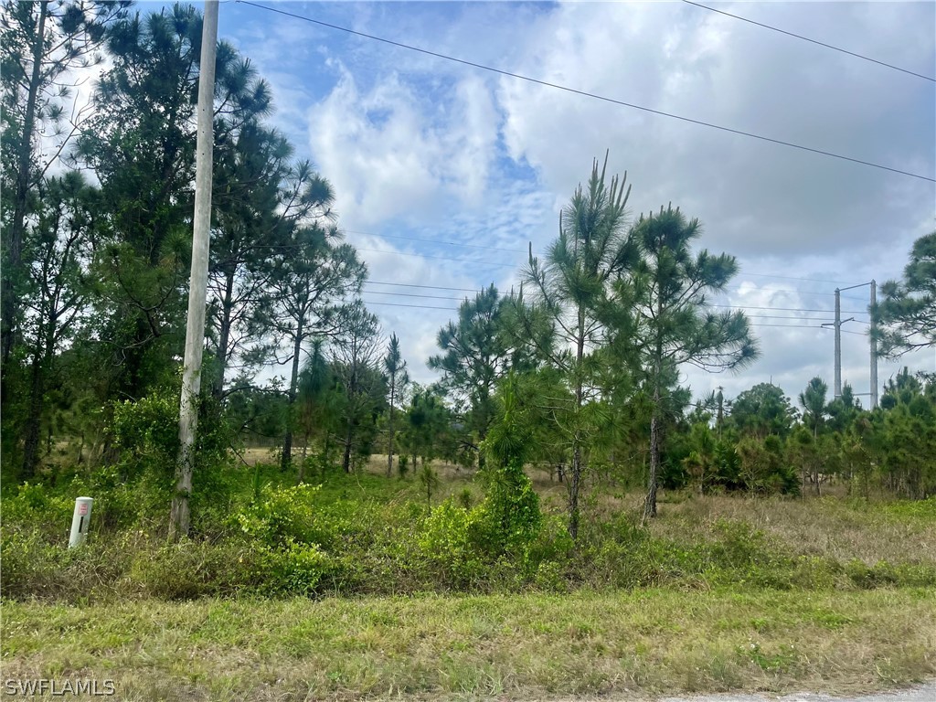 1166 Briarcliffe Street Fort Myers FL 33913 224031157 image5