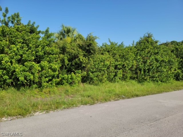 117-119 Hightower Avenue S Lehigh Acres FL 33973 222057292 image1