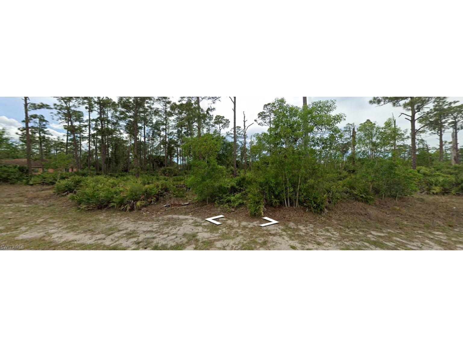 117 Louis Avenue Lehigh Acres FL 33936 224020129 image1