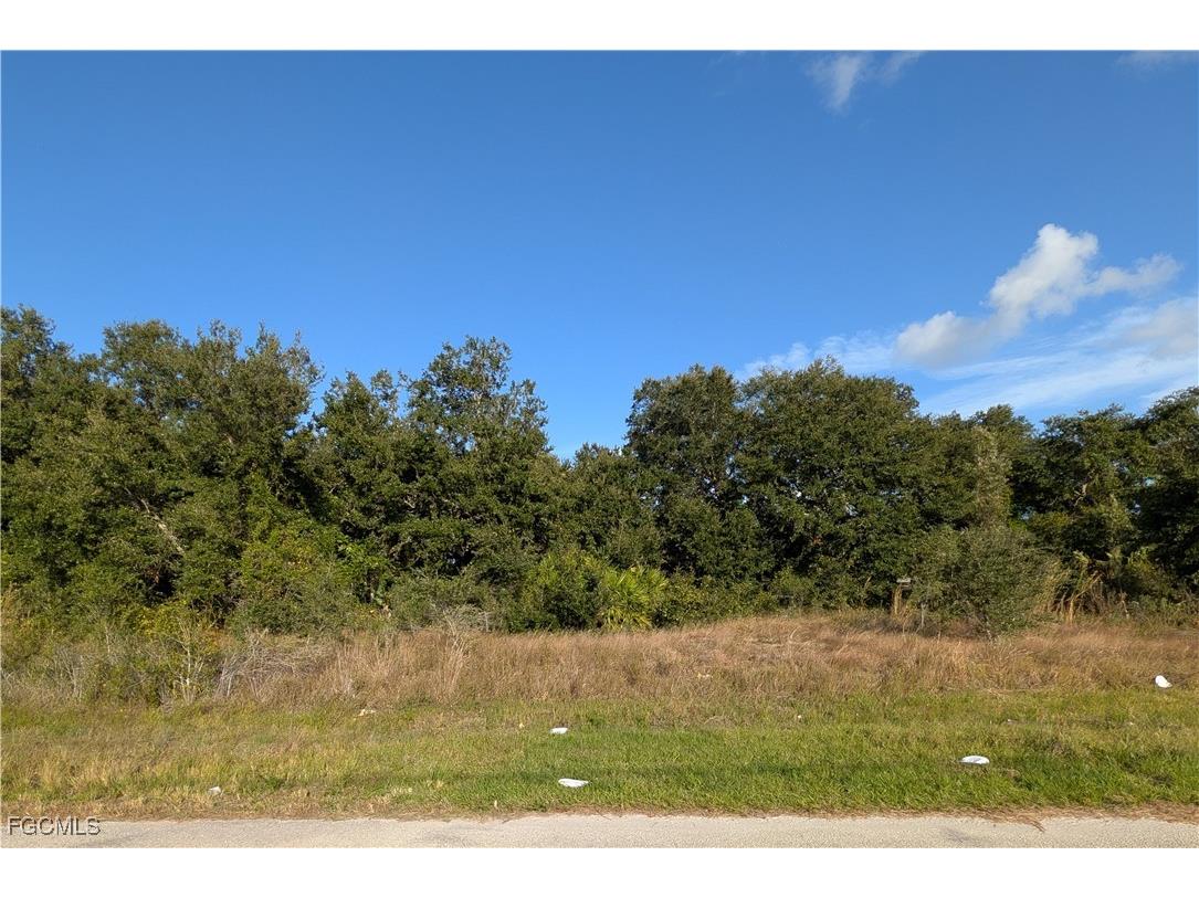 117 Parish Drive Lehigh Acres FL 33974 2025025574 image3