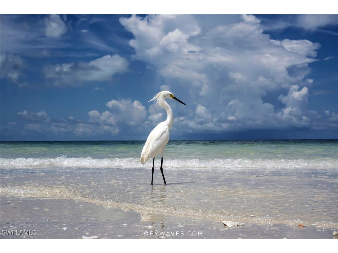 1170 Edington Place #A1 Marco Island FL 34145 226001388 image47