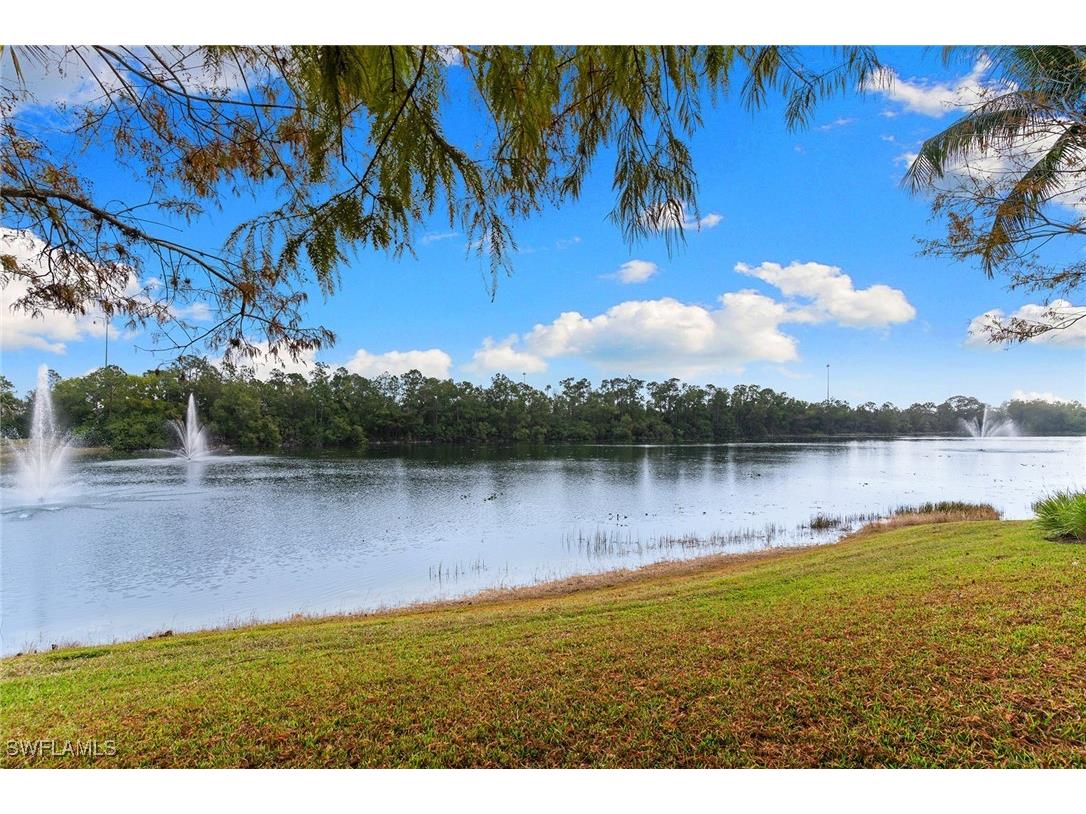 1170 Reserve Way #205 Naples FL 34105 226004196 image17