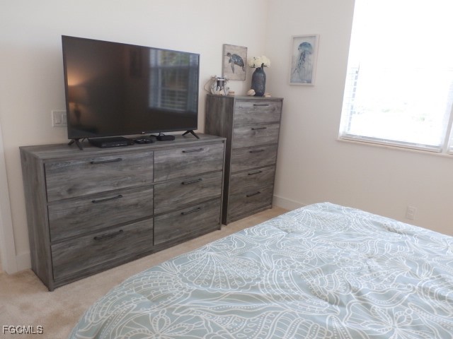 11701 Olivetti Lane #210 Fort Myers FL 33908 2025000373 image18