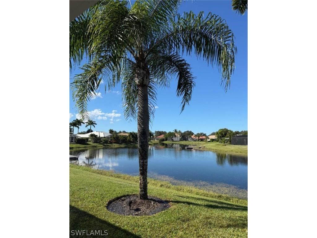 11723 Longshore Way E Naples FL 34119 226011776 image3