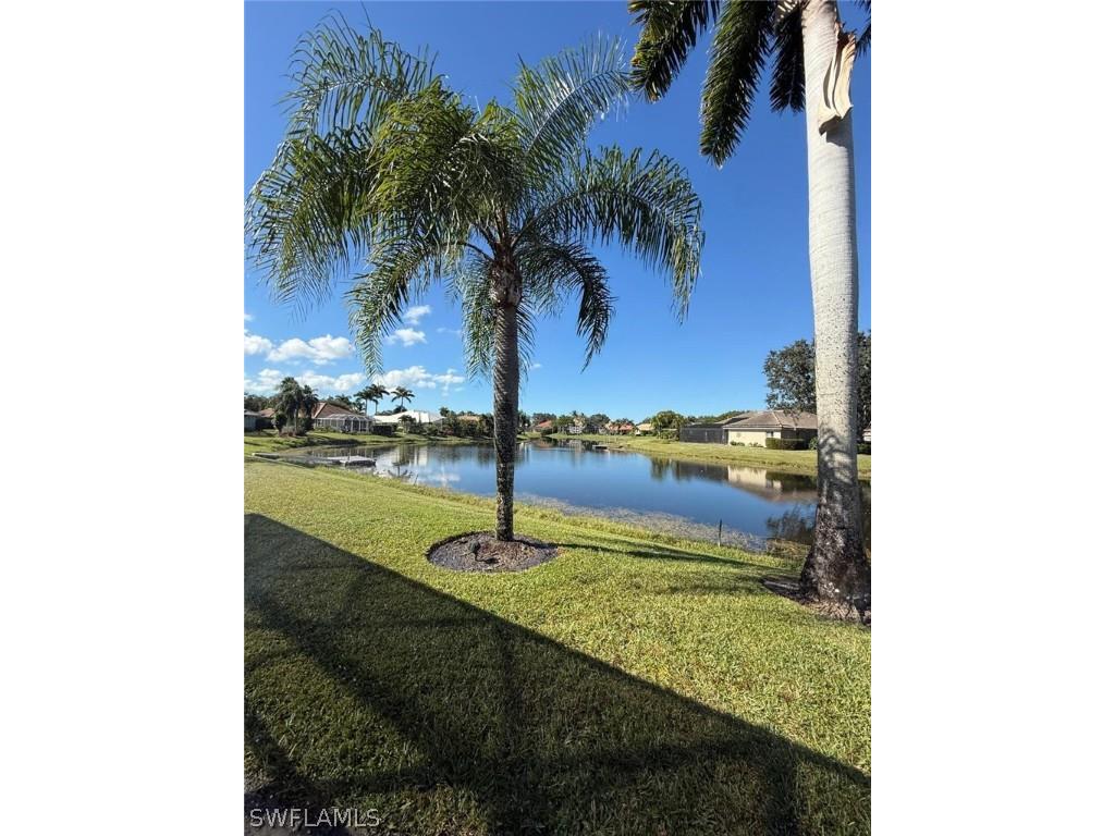 11723 Longshore Way E Naples FL 34119 226011776 image48