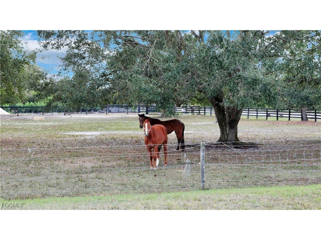 11751 Shawnee Road Fort Myers FL 33913 2025013082 image4