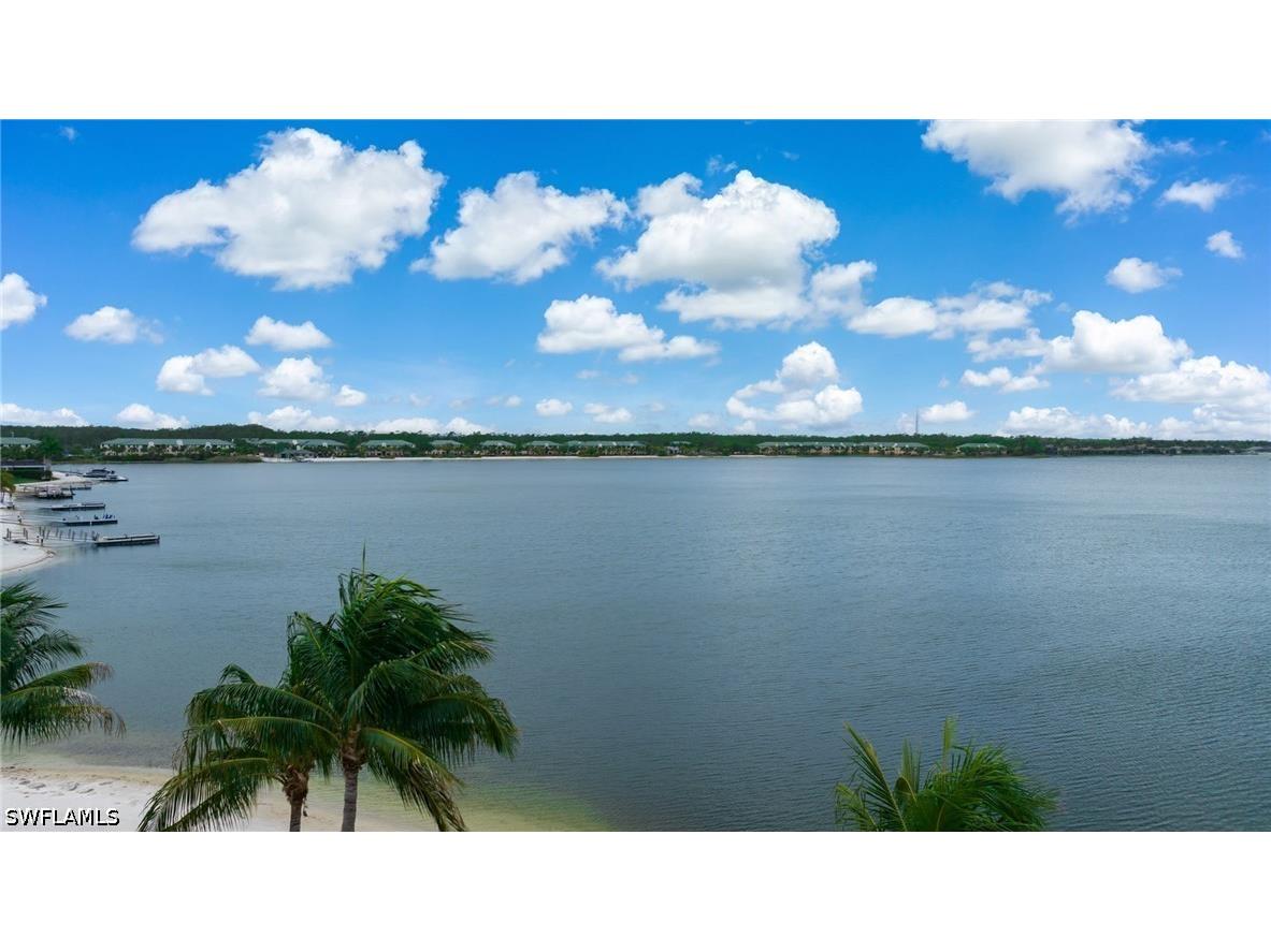 11759 Via Savona Court Miromar Lakes FL 33913 226019051 image24