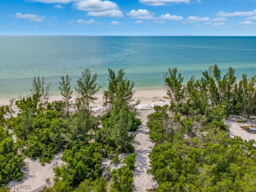 11799 Keewaydin Naples FL 34113 225075057 image14