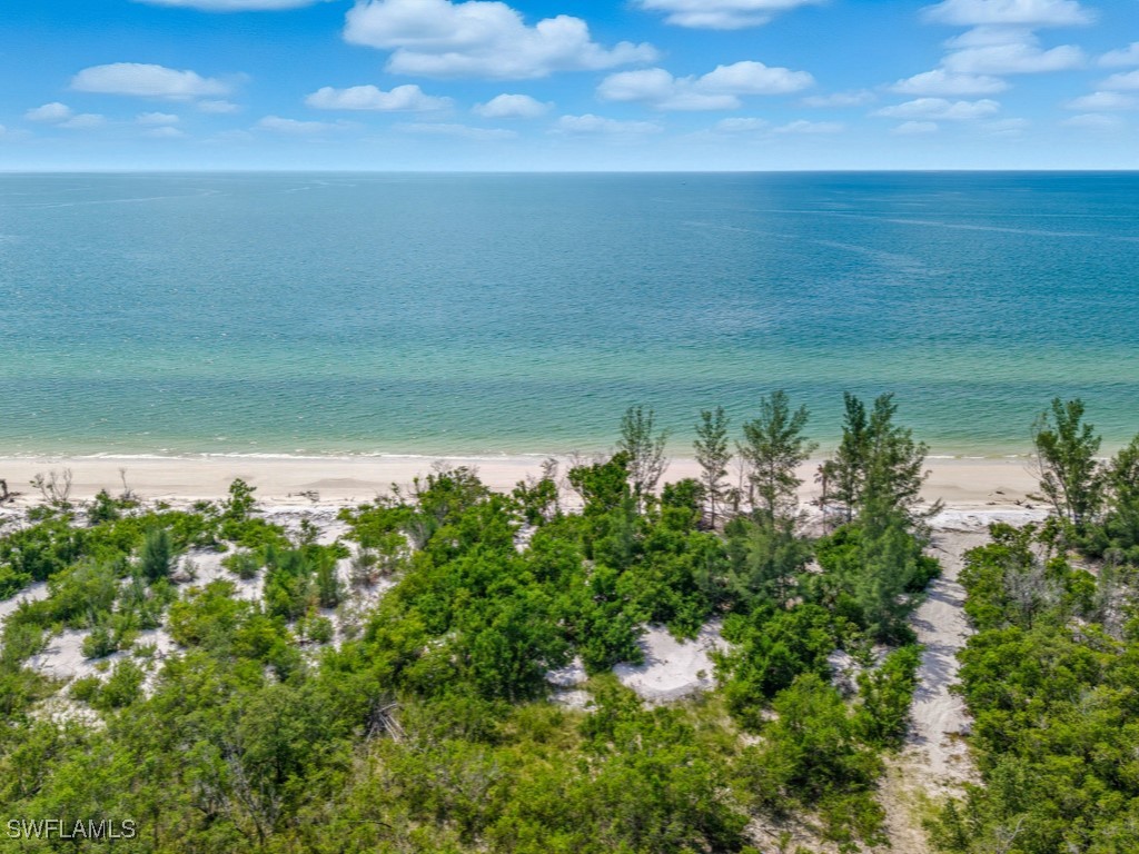 11799 Keewaydin Naples FL 34113 225075057 image15