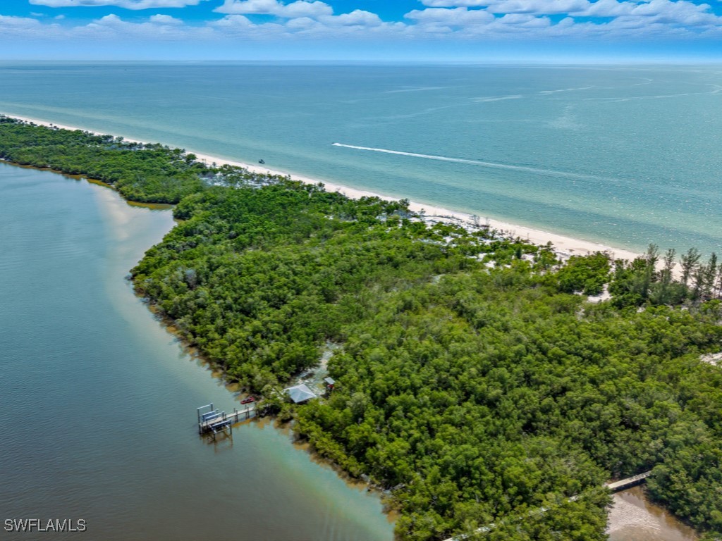 11799 Keewaydin Naples FL 34113 225075057 image5