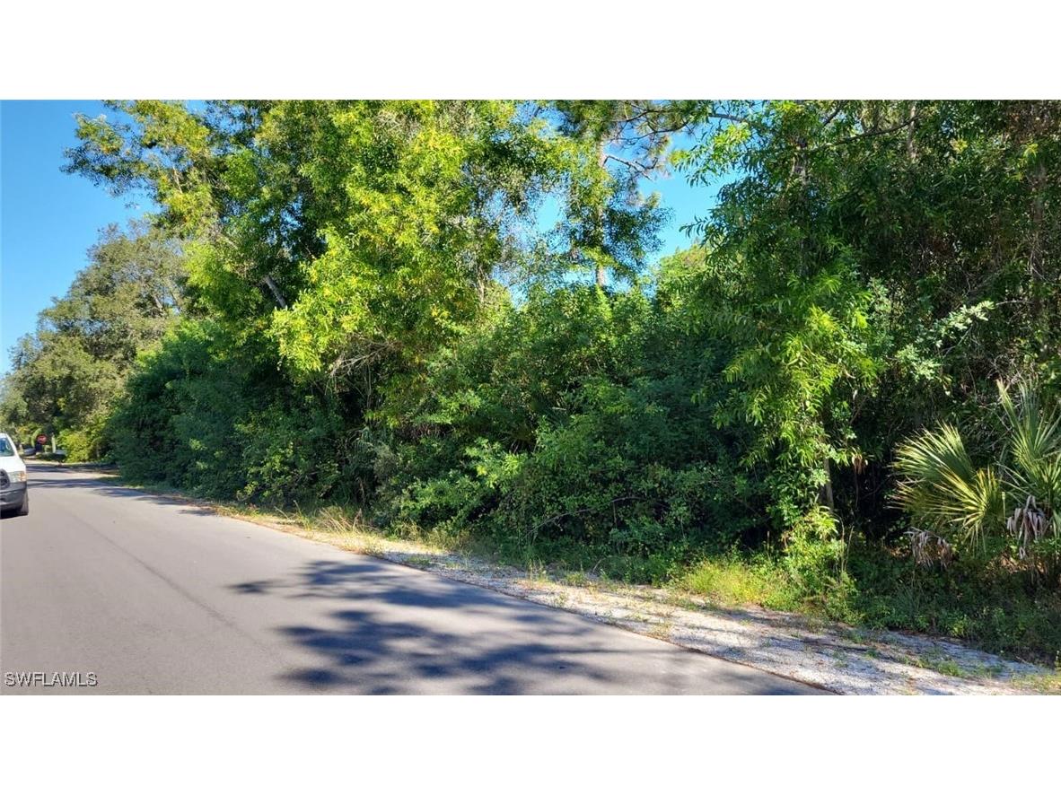 118 Irving Avenue Lehigh Acres FL 33936 225080066 image1