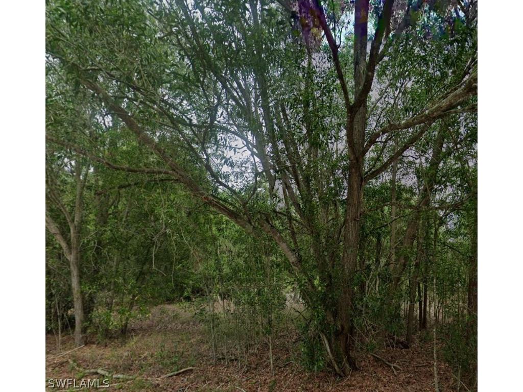 118 Johns Avenue Lehigh Acres FL 33936 226007924 image1