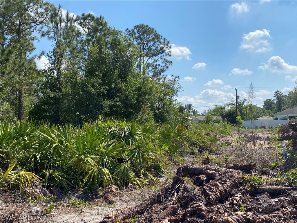 118 Mcarthur Avenue Lehigh Acres FL 33936 223029169 image1